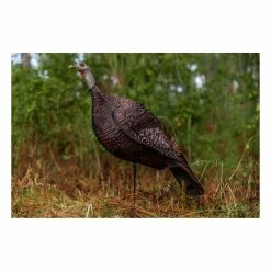 Best Pirce 😉 Primos Photoform Hen Turkey Decoy 🎁 -Outlet Primos Store unnamed file 249