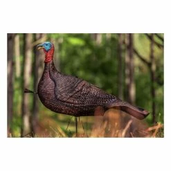 Best Sale ❤️ Primos Photoform Jake Turkey Decoy 🧨 -Outlet Primos Store unnamed file 297