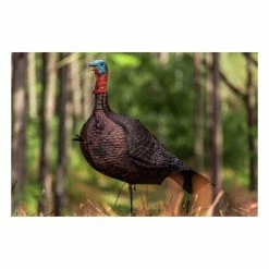 Best Sale ❤️ Primos Photoform Jake Turkey Decoy 🧨 -Outlet Primos Store unnamed file 298